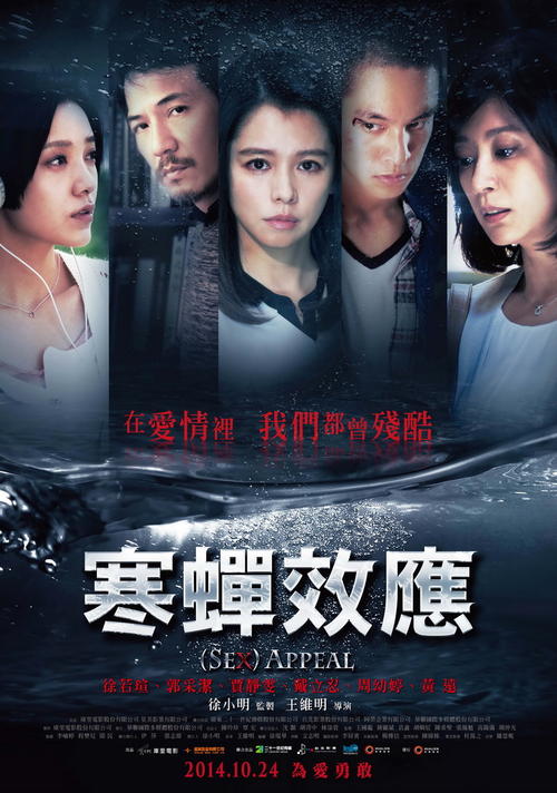 堤维德岬怎么办假证